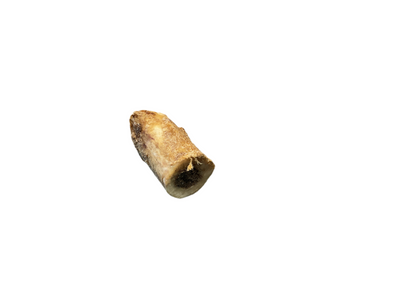 Medium Buffalo Meat Filled Bones