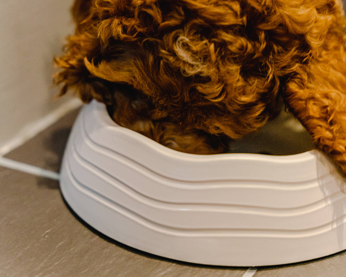 Recycled Ocean Plastic Dog Bowl: Ocean Blue