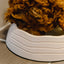 Recycled Ocean Plastic Dog Bowl: Forest Green