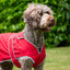 Ancol Stormguard Soft Shell  Dog Coat Bordeaux