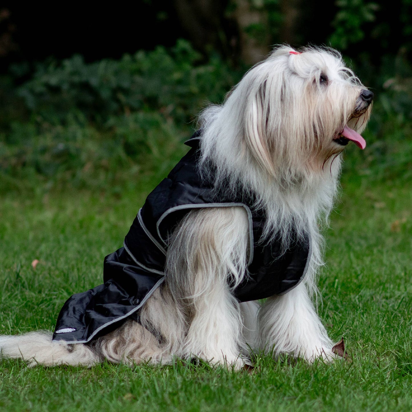 Ancol Stormguard All weather Coat Black