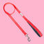 Doodlebone Padded Dog lead
