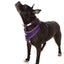 Adjustable Airmesh Dog Harness