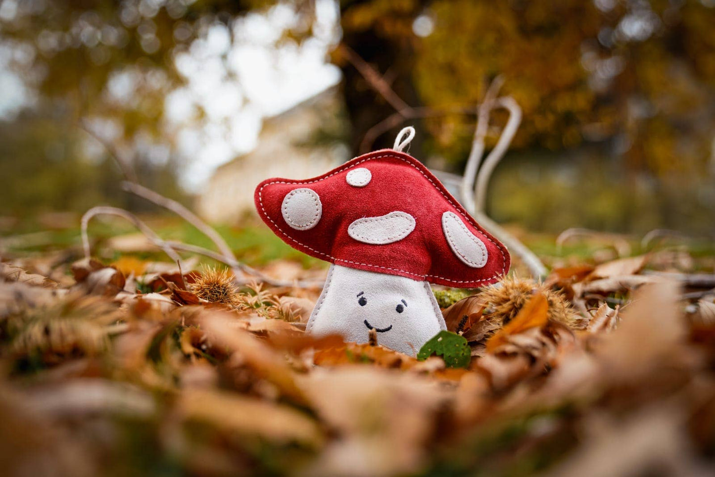 Aurora Paws - Marie the Mushroom shaped Eco Dog Toy