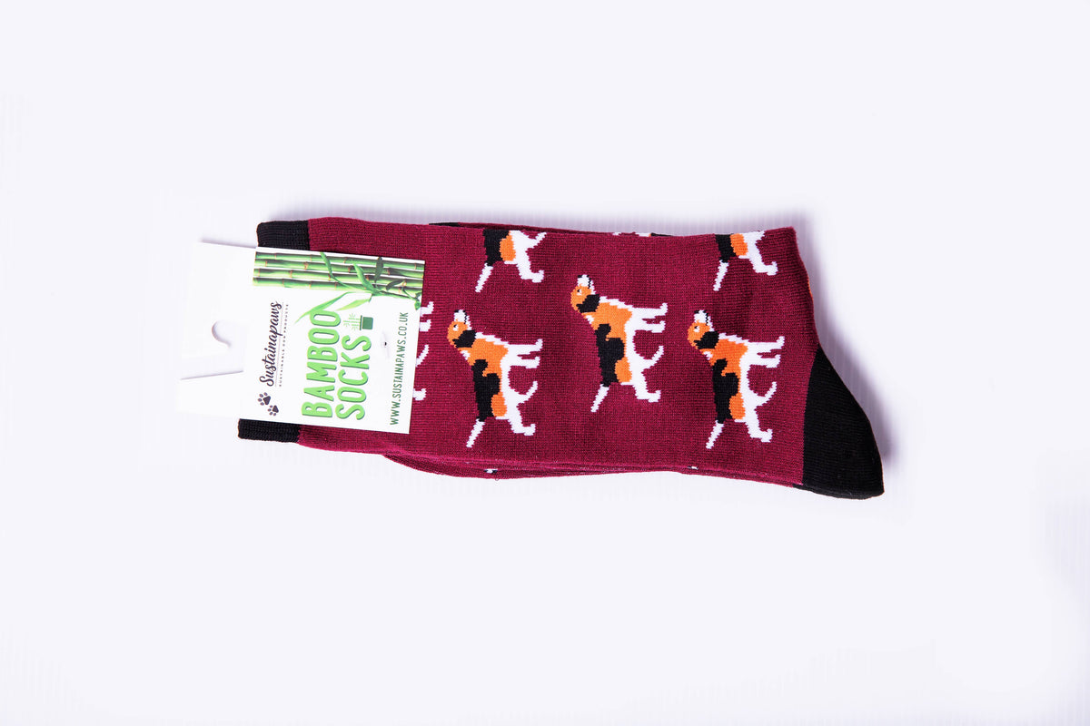 Novelty Bamboo Socks