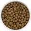 Everest & Co Senior Fish and Rice