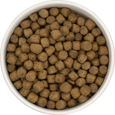 Everest & Co Senior Fish and Rice
