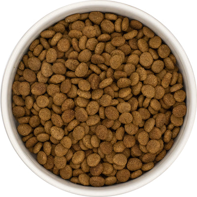Everest & Co Connoisseur Chicken with Tuna & Salmon - Sterilised Cat