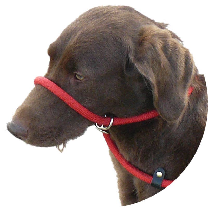 Miro & Makauri  "REGULAR GRIP"  - Slip Dog Lead with Figure: Black 13mm x 120cm
