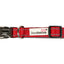 Doodlebone Padded Dog Collar