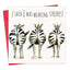 I said I was Wearing Stripes! - Funny Birthday Card
