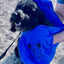 Pet Wiz - Microfibre Noodle / Chenille Dog Towel
