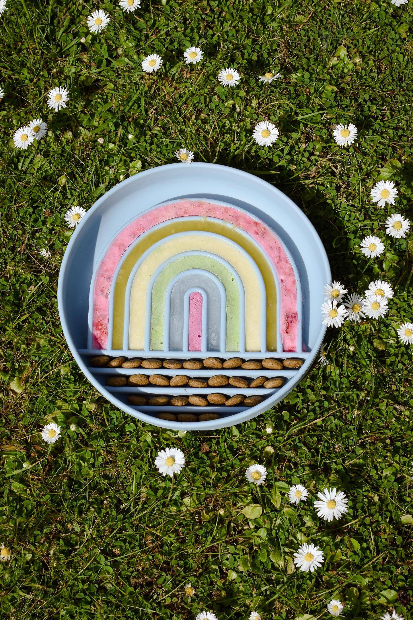 Bodhi & The Birchtree - Rainbow Enrichment Bowl Leaden