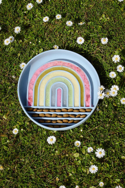 Bodhi & The Birchtree - Rainbow Enrichment Bowl Leaden