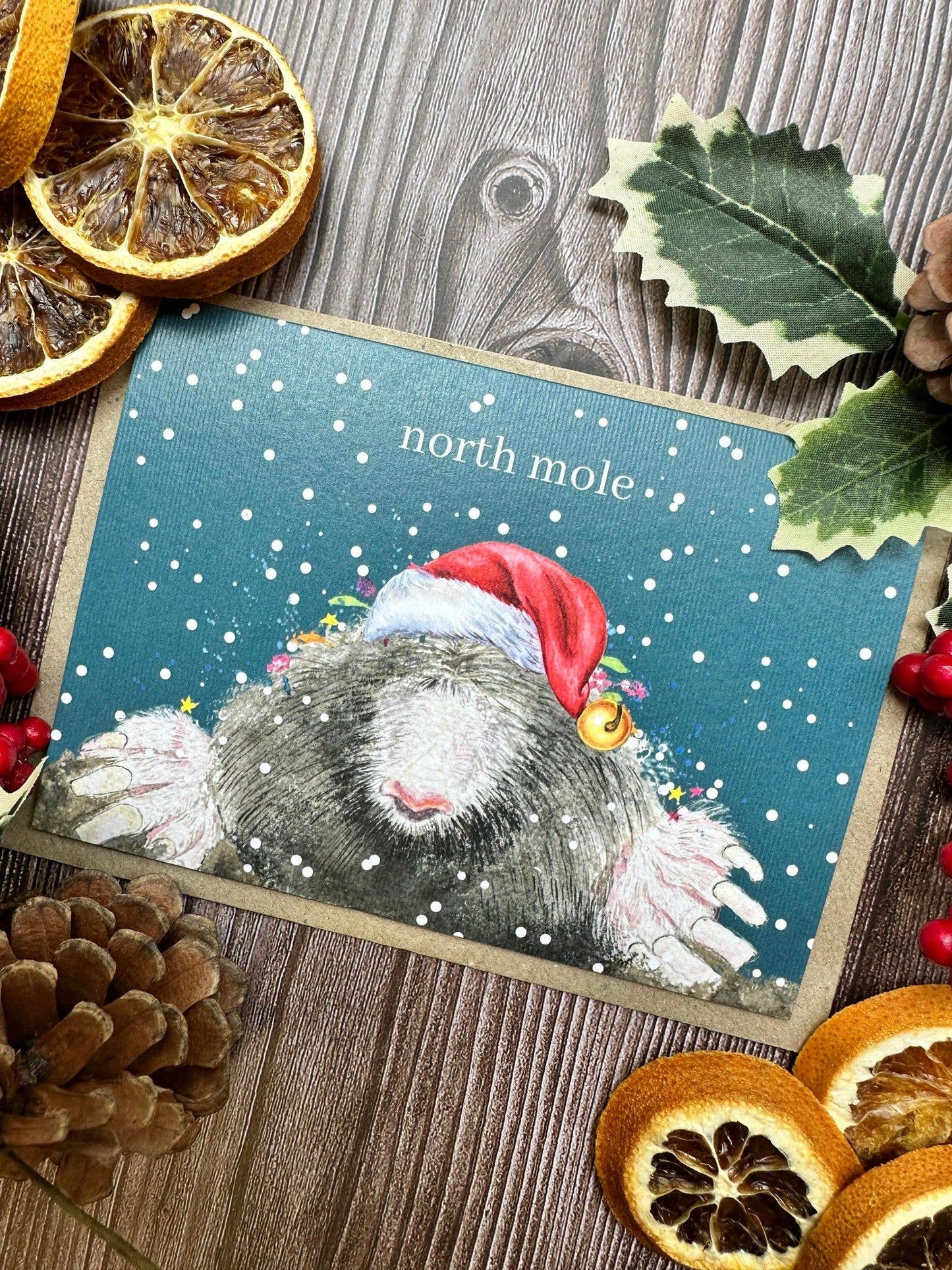 North Mole Christmas Eco Friendly Art Card cute funny blank