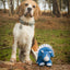 Dinosaur Double Layered Recycled Plastic Eco Plush Dog Toy