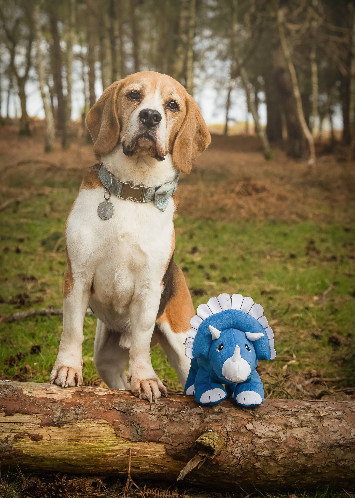 Dinosaur Double Layered Recycled Plastic Eco Plush Dog Toy