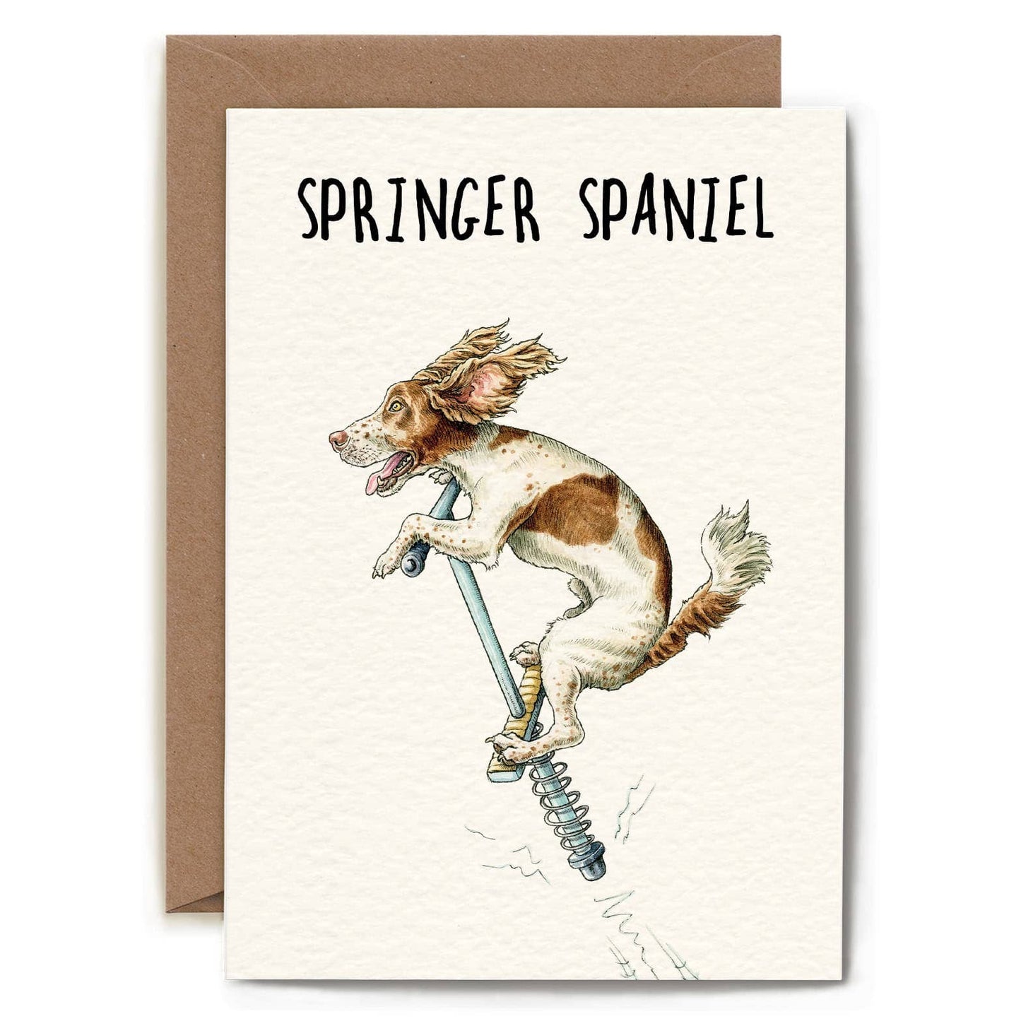 Bewilderbeest - Springer Spaniel Card - Everyday Card - Funny
