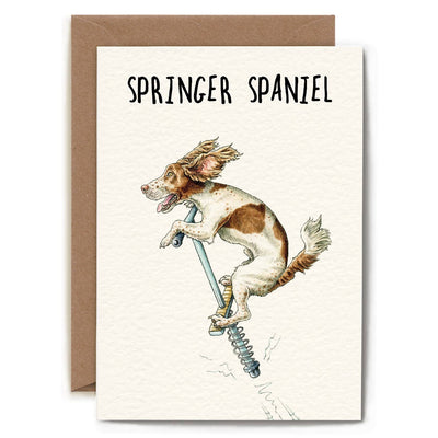 Bewilderbeest - Springer Spaniel Card - Everyday Card - Funny