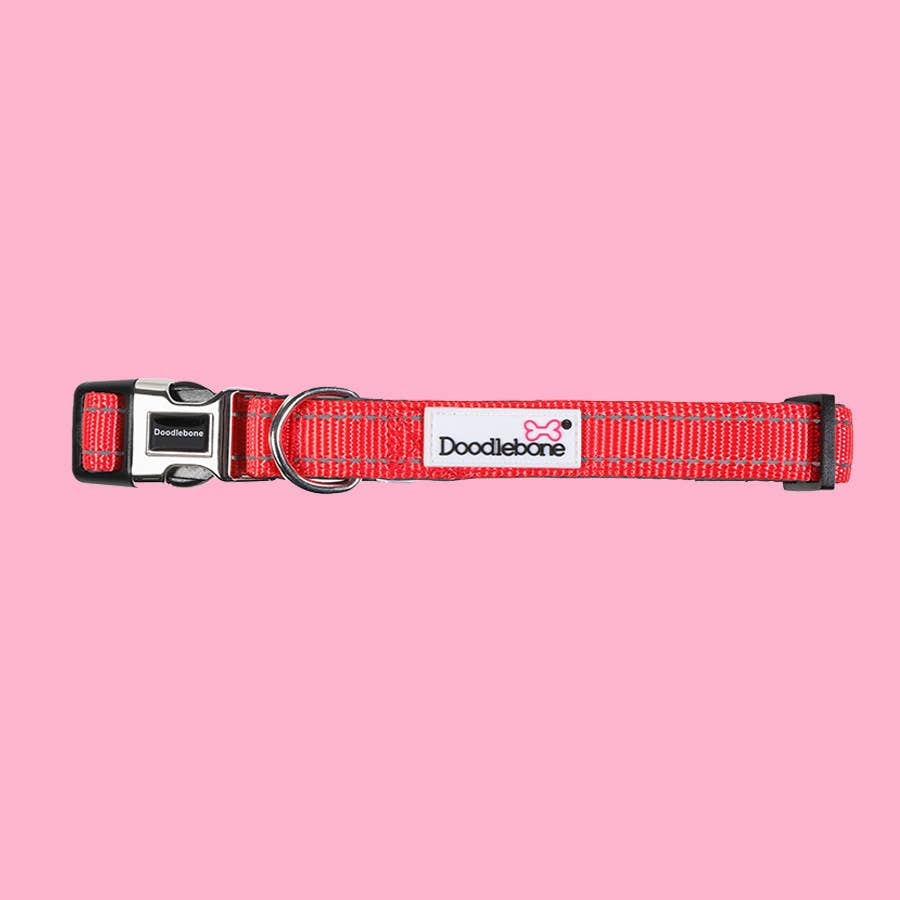 Doodlebone Padded Dog Collar