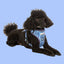 Adjustable Airmesh Dog Harness