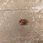 Betty Miller Grain-Free Salmon & Dill Mini-Paws