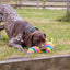 Ancol Pet Products Ltd - Ancol Playtime Cuddle Psychedelic Slug