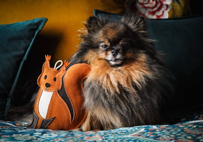Aurora Paws - Hazel the Red Squirrel (Cat Nip Infused) Eco Dog and Cat Toy