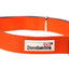Doodlebone Padded Dog Collar