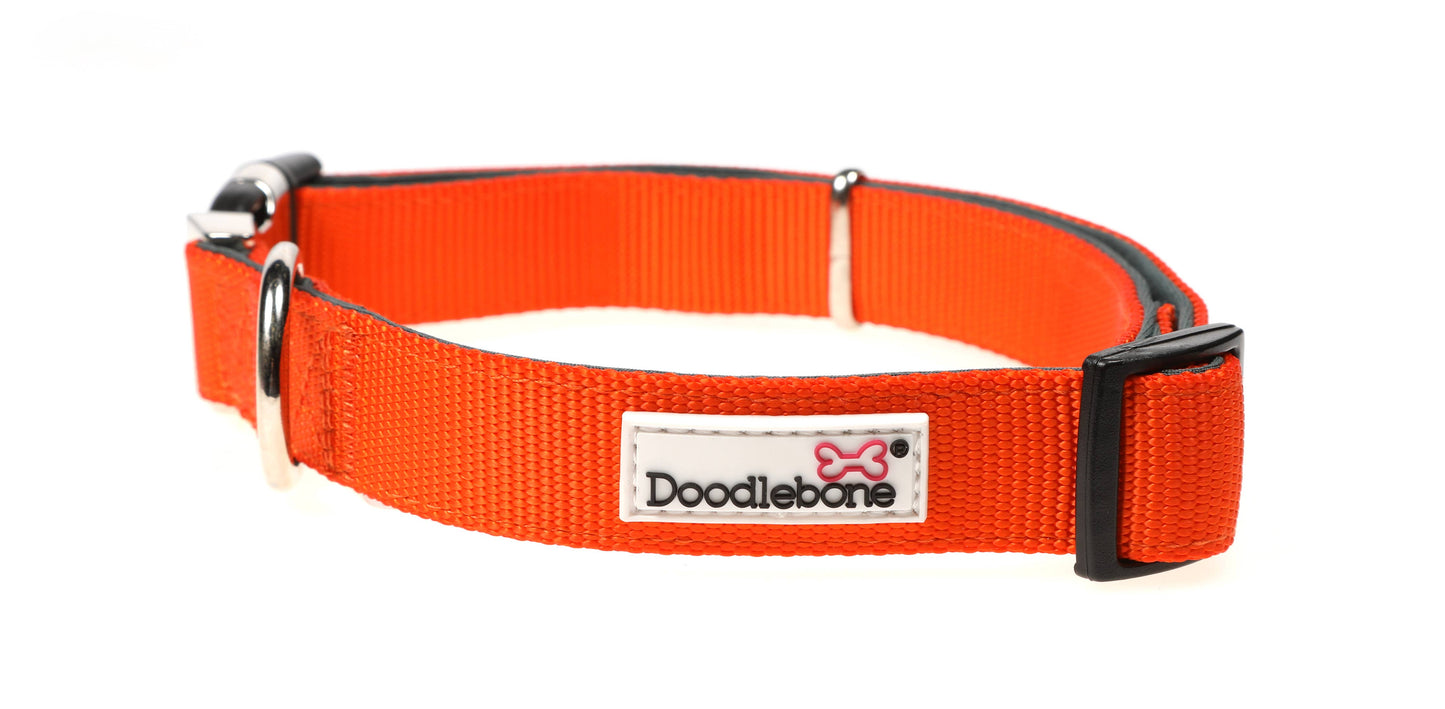 Doodlebone Padded Dog Collar