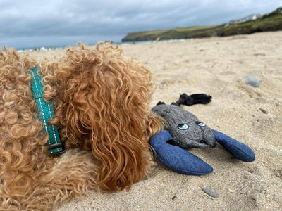 Eco Conscious Lobster Dog Toy
