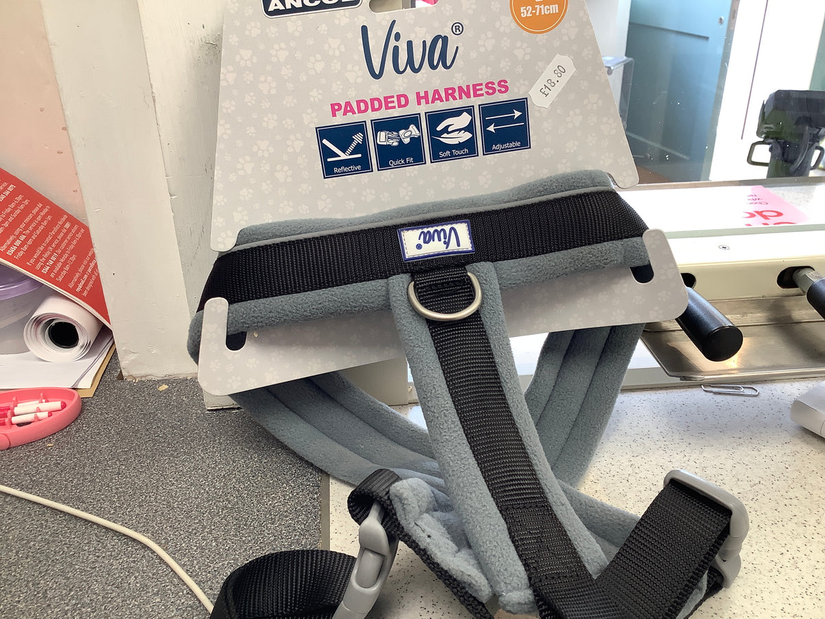 Viva padded harness black