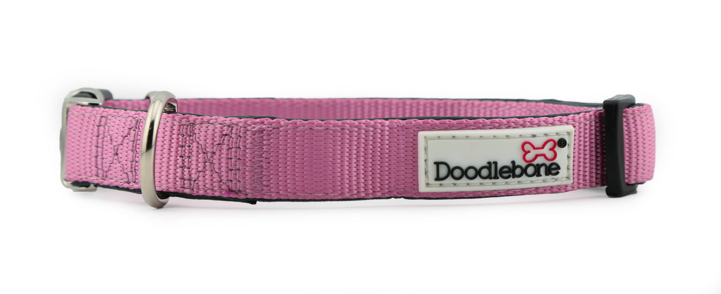 Doodlebone Padded Dog Collar
