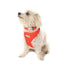 Adjustable Airmesh Dog Harness