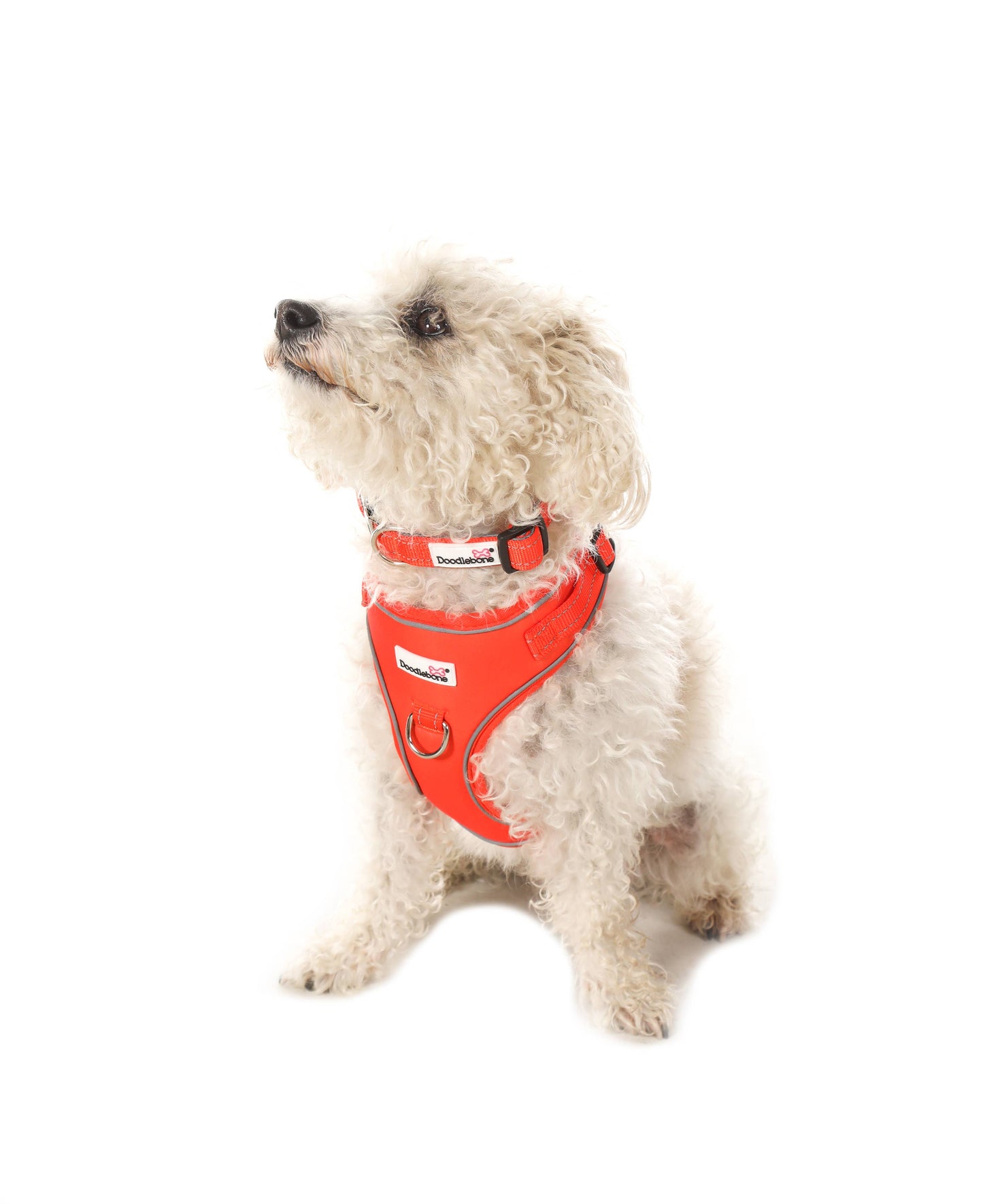 Adjustable Airmesh Dog Harness