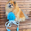 Aurora Jelly Fish XL Dog and Horse Eco Toy