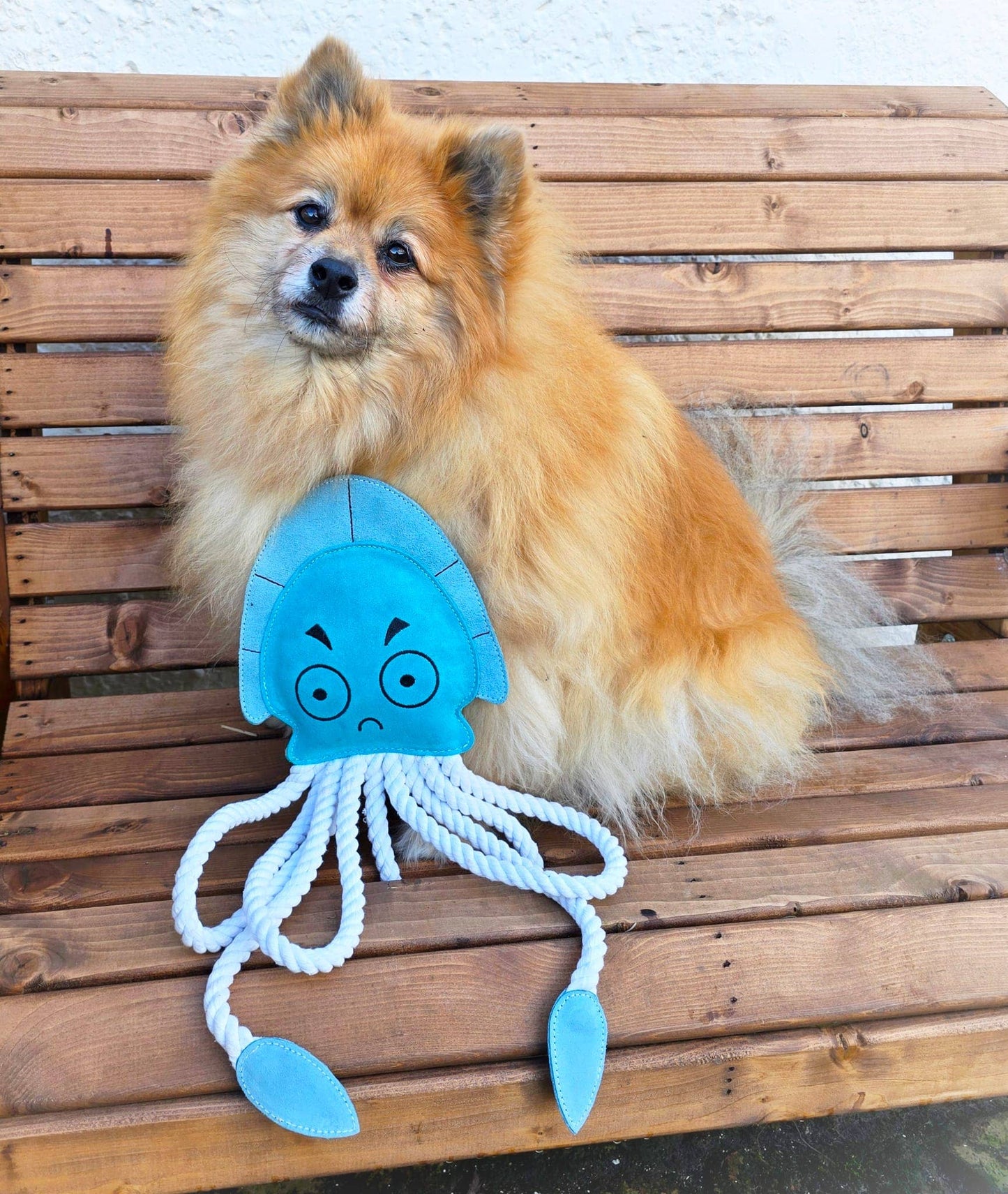 Aurora Jelly Fish XL Dog and Horse Eco Toy