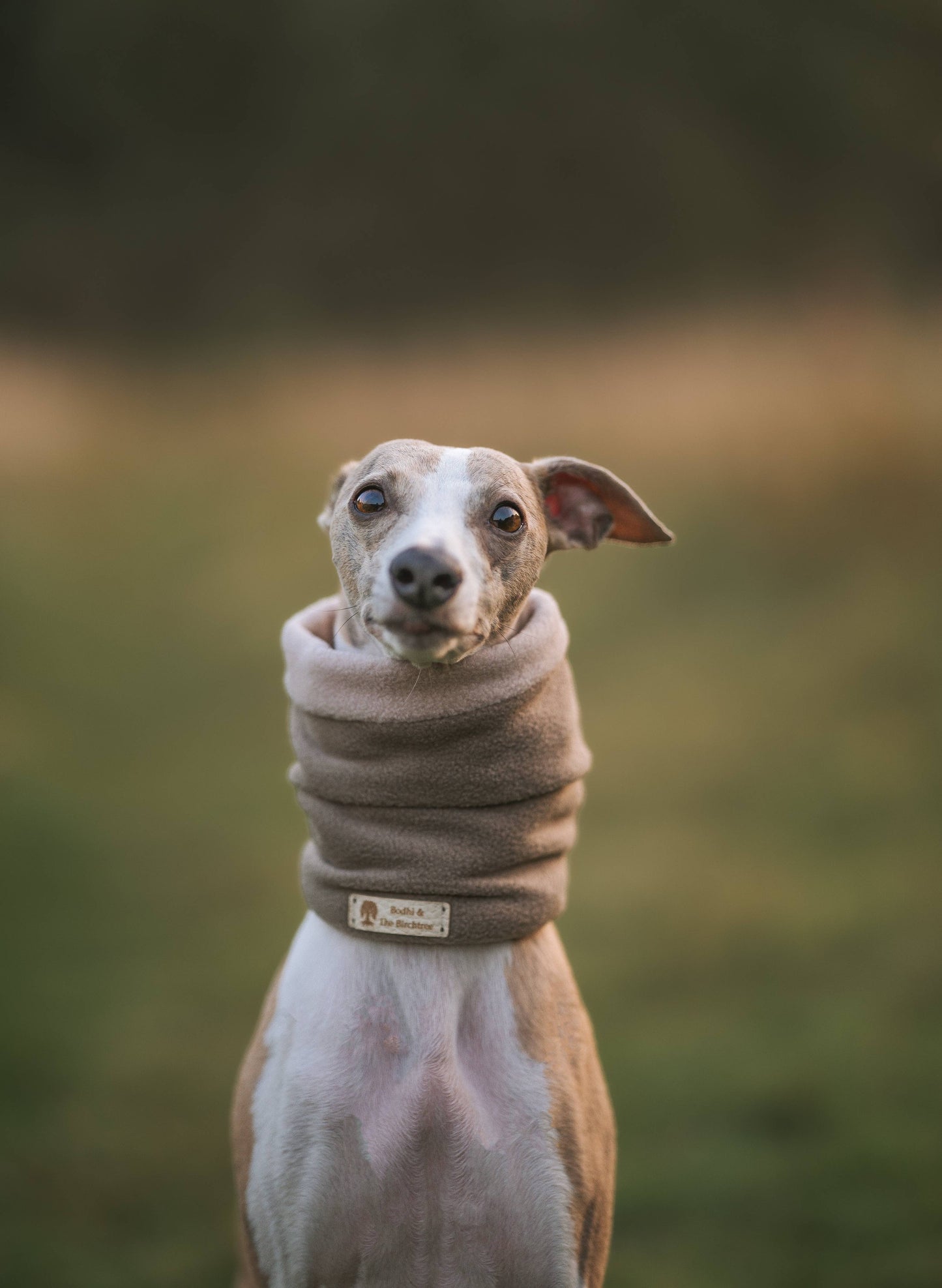 Bodhi & The Birchtree - Bodhi & The Birchtree Dark Camel & Light Stone Fleece Snood