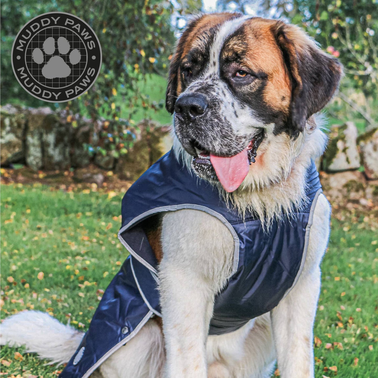Ancol Stormguard All weather Coat Navy Blue