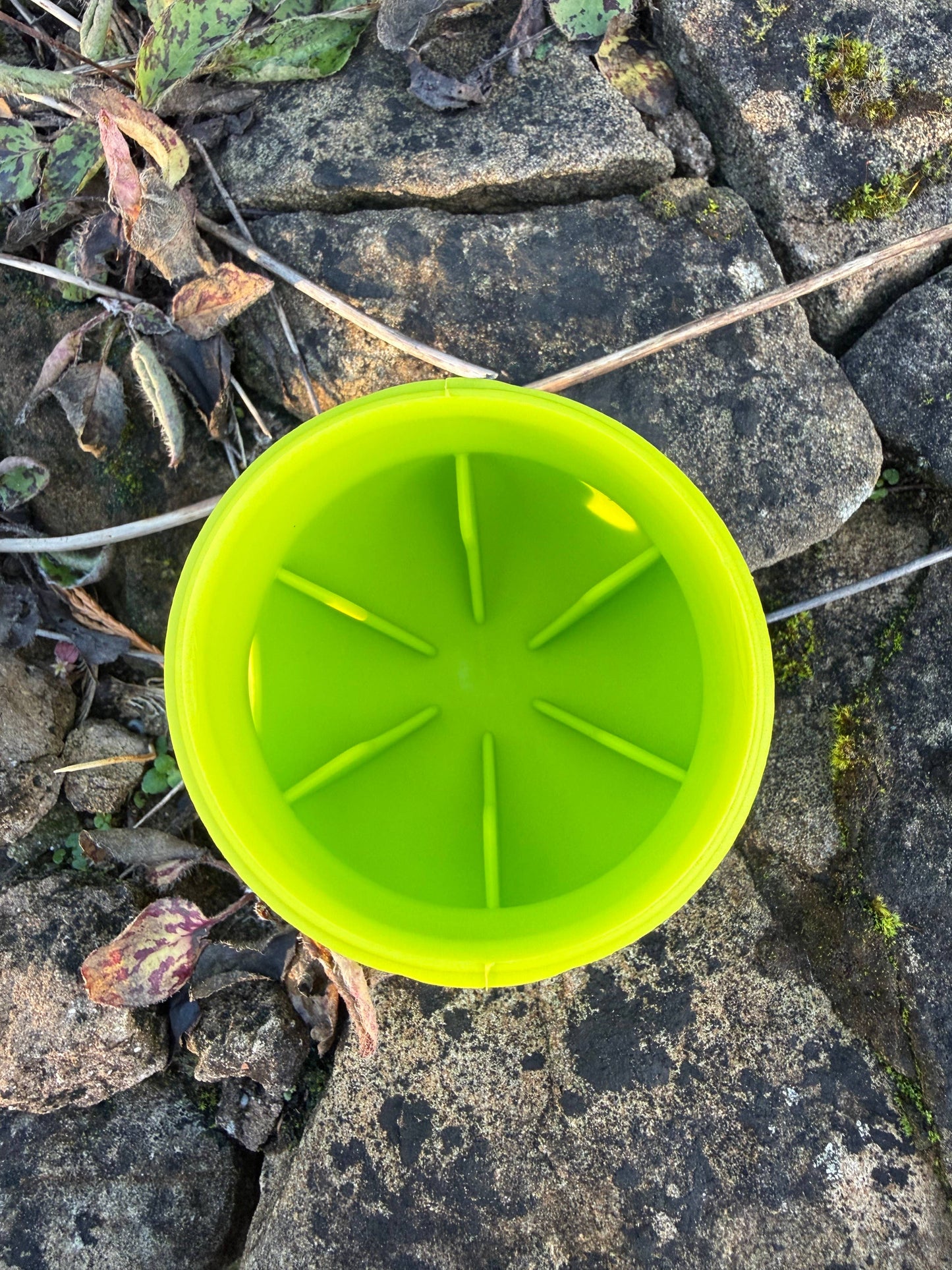 Bodhi & The Birchtree - Acorn Dog Treat Dispenser - Green & Lime