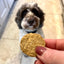 Sustainable Fish Cookie Dog Treats