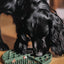 Bodhi & The Birchtree - Honeycomb Lick Mat Sea Green