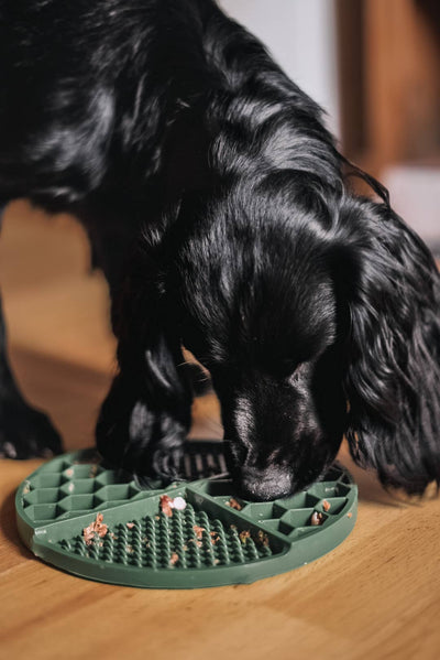 Bodhi & The Birchtree - Honeycomb Lick Mat Sea Green