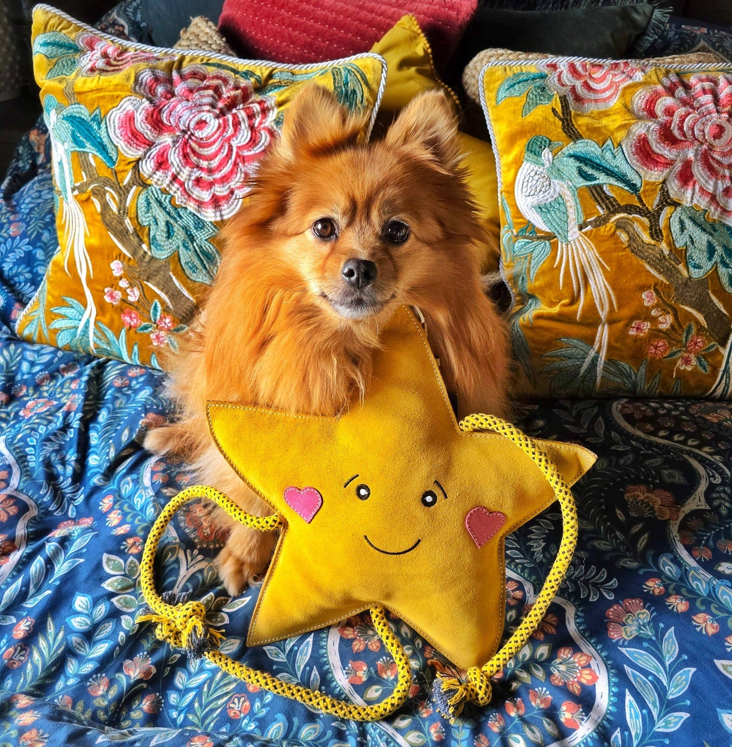 Star XL Dog and Horse Eco Toy