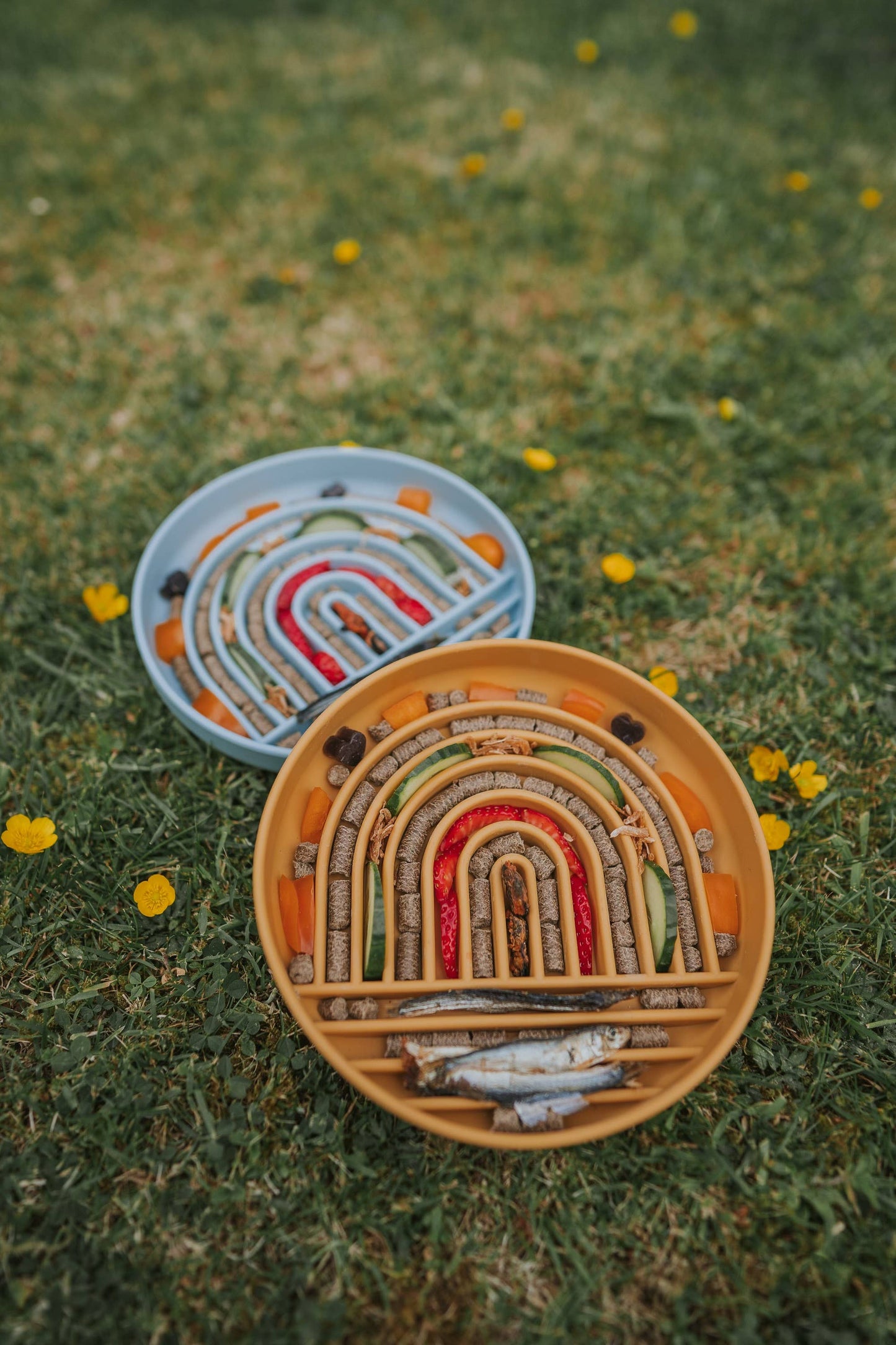 Bodhi & The Birchtree - Rainbow Enrichment Bowl Honey
