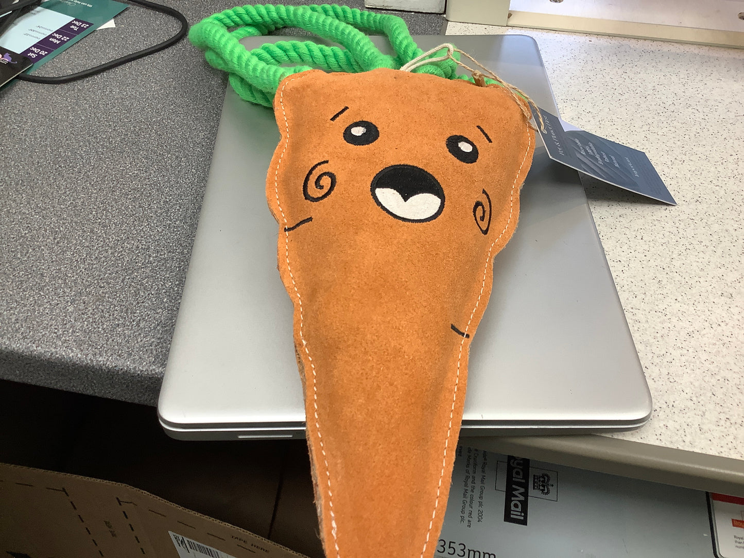Aurora paws carrot