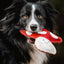 Aurora Paws - Marie the Mushroom shaped Eco Dog Toy