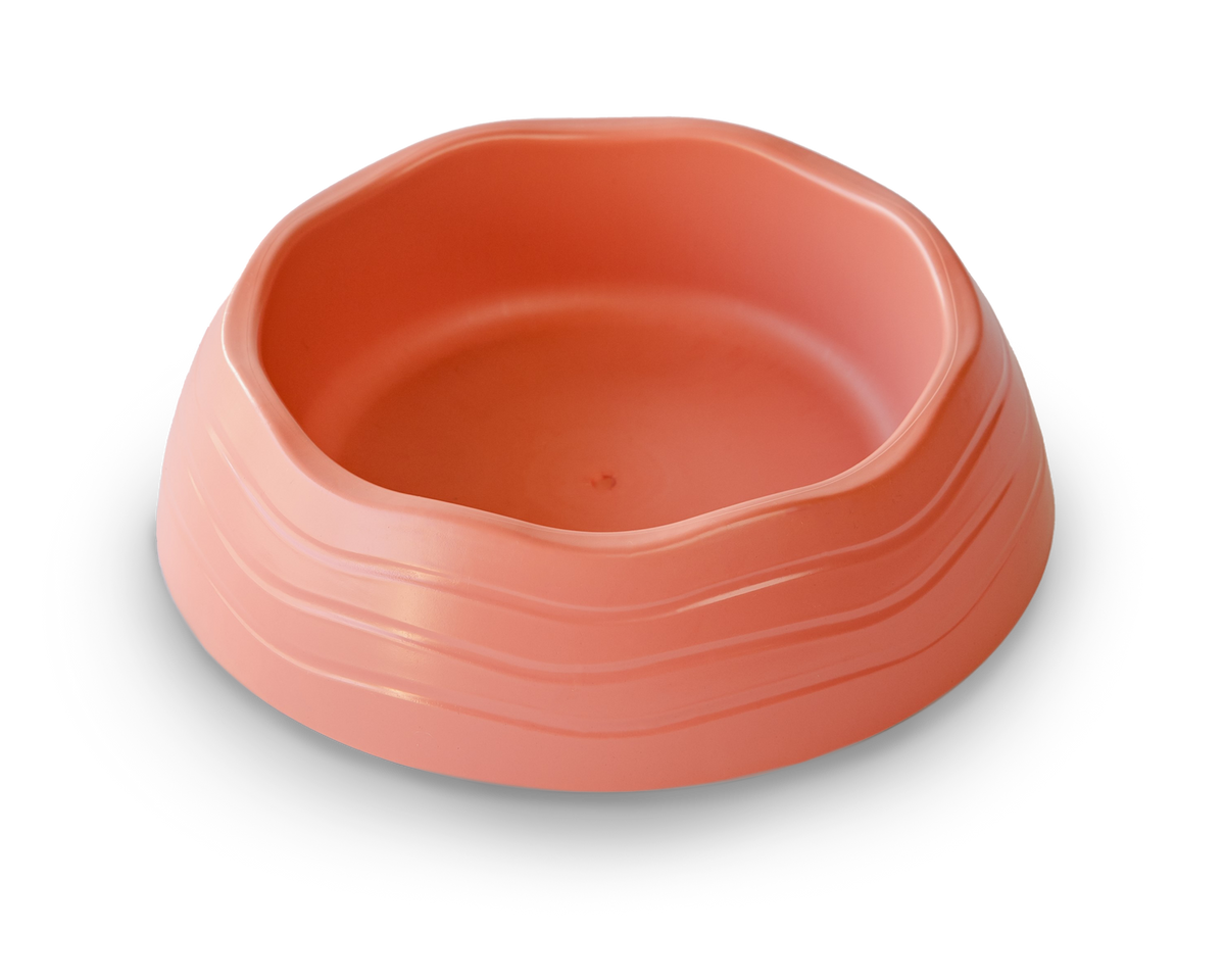 Recycled Ocean Plastic Dog Bowl: Forest Green