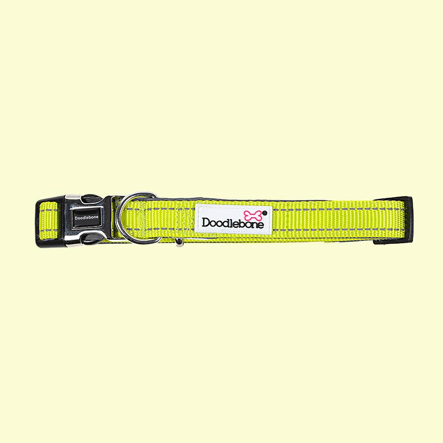 Doodlebone Padded Dog Collar
