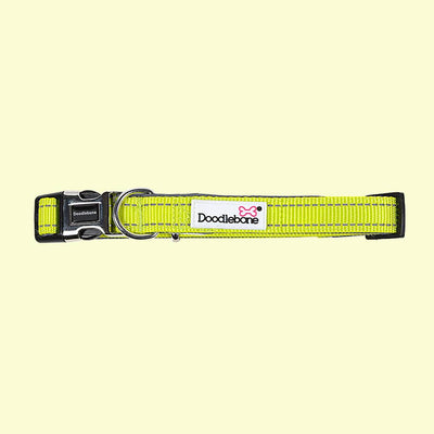 Doodlebone Padded Dog Collar